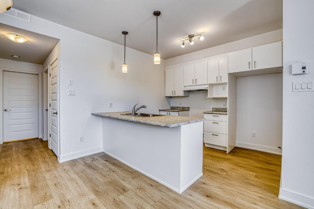 Charmant appartement d'une chambre au sous-sol | Emplacement idéal pour les navetteurs - 410, rue Des Becs-Scie, app. 2, Gatineau (Masson-Angers), QC | 3132678