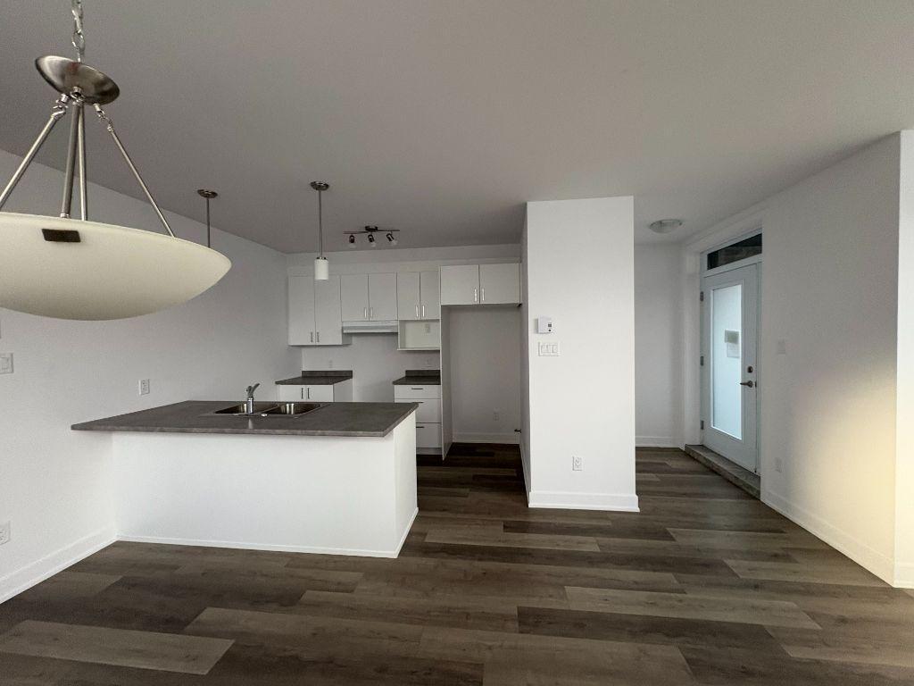 1-Bedroom Basement Apartment | Prime Commuter Location-410, Rue Des Becs-Scie, apt. 2, Gatineau (Masson-Angers), QC | 3132680