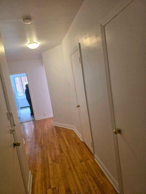 3 1/2 ensoleillé, près de l'université etc. | 3132689