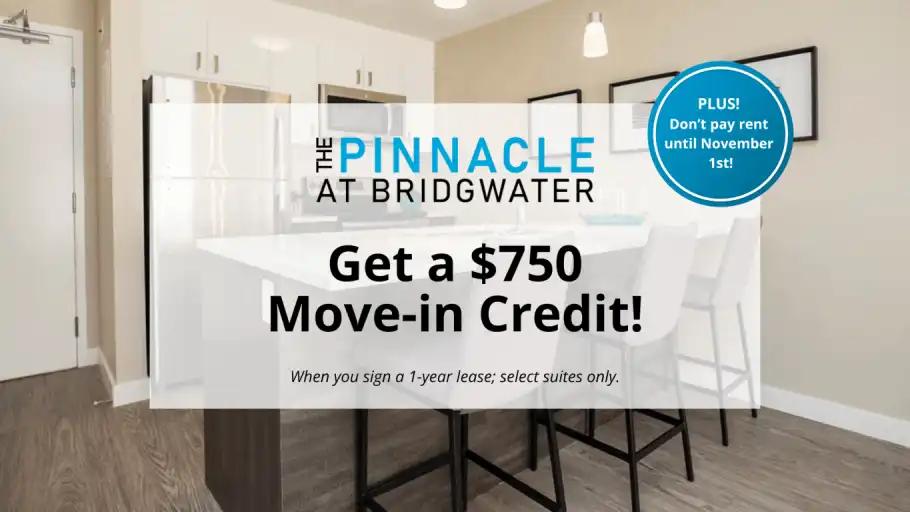 The Pinnacle at Bridgwater | 355 Bridge Lake Drive, Winnipeg | 3133023
