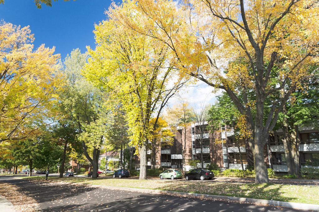 3 1/2 Ste-Foy - Tout inclus - près du cégep Garneau - décembre | 3134814