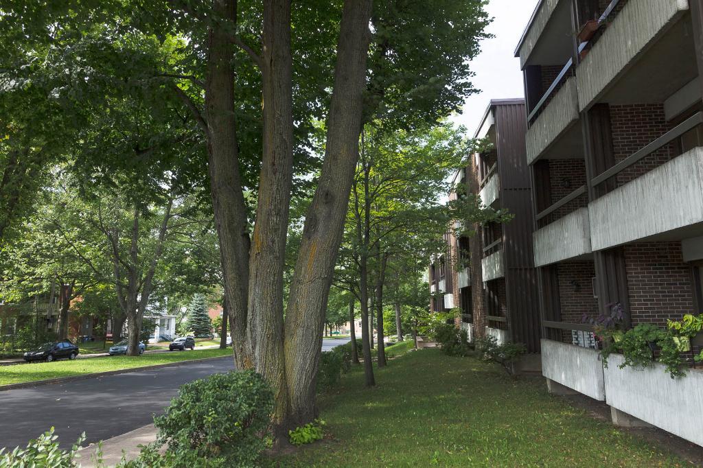 3 1/2 Ste-Foy - Tout inclus - près du cégep Garneau - décembre | 3134814