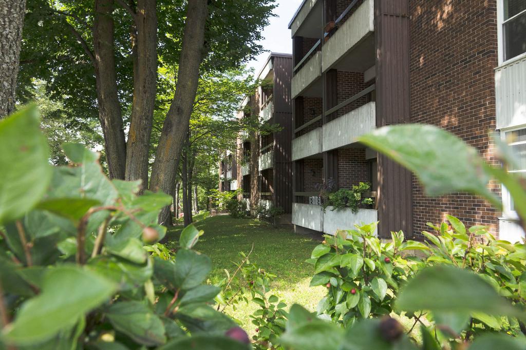 3 1/2 Ste-Foy - Tout inclus - près du cégep Garneau - décembre | 3134814