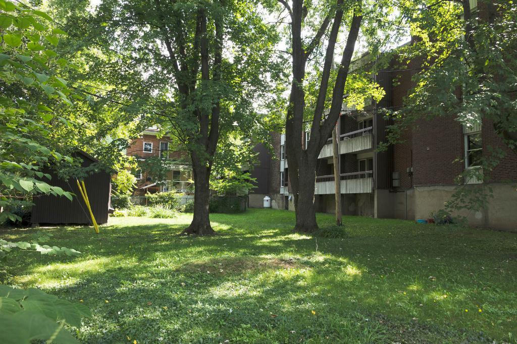 3 1/2 Ste-Foy - Tout inclus - près du cégep Garneau - décembre | 3134814