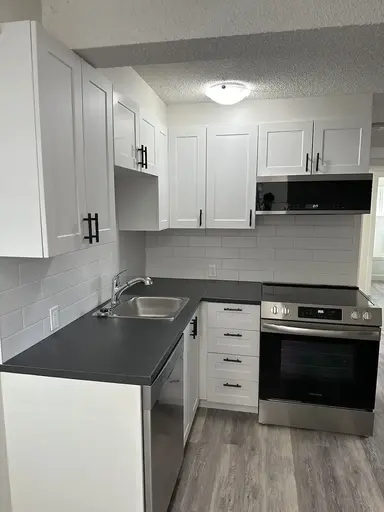 Iner City Extensively Renovated 4PLEX LOWER SUITE with 2bed+DEN WITH CITY VIEWS! | 2833 15 Avenue Southeast, Calgary | 3166101