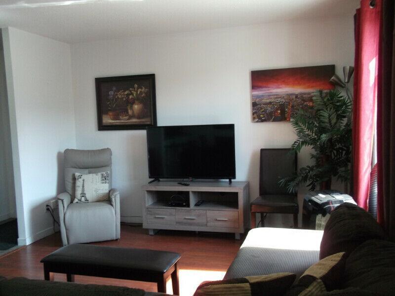 GRAND 4 ½ LEBOURGNEUF STYLE CONDO AIR CLIMATISÉE | 3163216