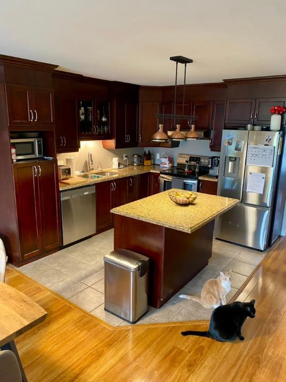 Logement à louer | 3135181