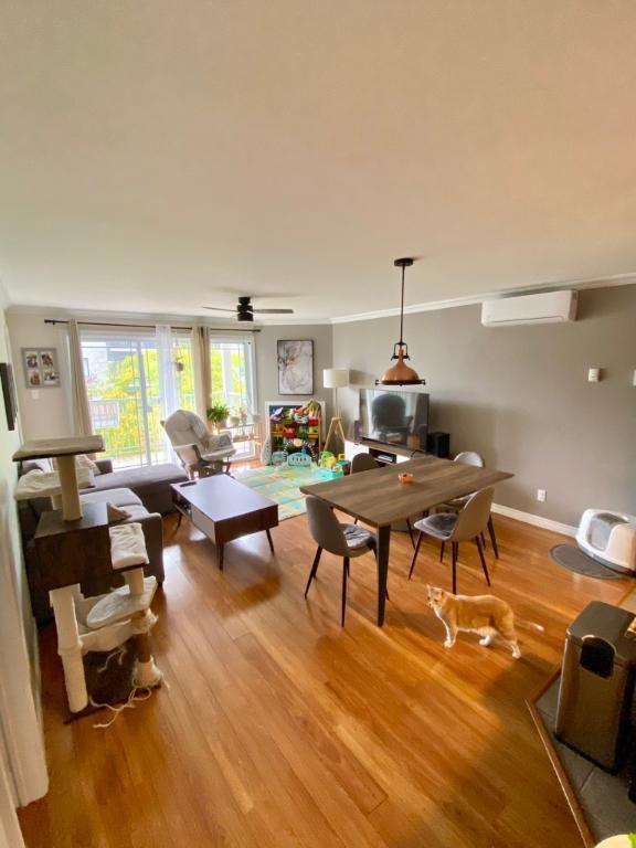 Logement à louer | 3135181