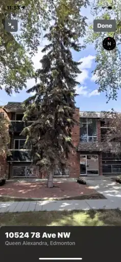 Apartment 1 bedroom  newly renovated  for rent Queen Alexandra | 10524 78 Ave NW, Edmonton | 3135385