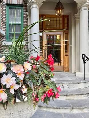 Lumineux 5 ½ au coeur d'Outremont/av. Bernard | 3135431