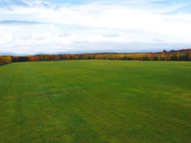 Granby (Estrie) : Terre agricole de 62 arpents drainée, excellent rendement, près de la ville | 3165615