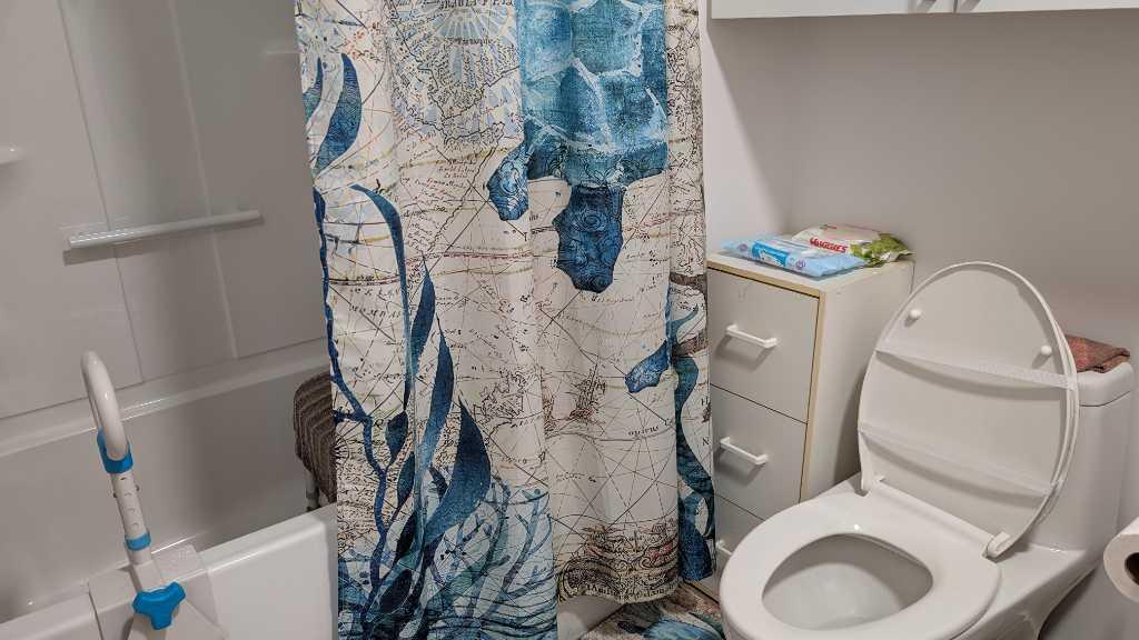 Grand 5 1/2 à céder j'offre le premier mois gratuit,Thetford Mines dès décembre rez-de-chaussée, animaux acceptés | 3140091