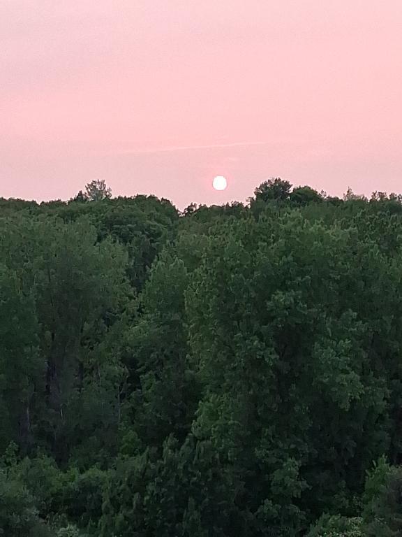 3 1/2 à louer Terrebonne Urbanova 1650$ Janvier 2026 | 3140464