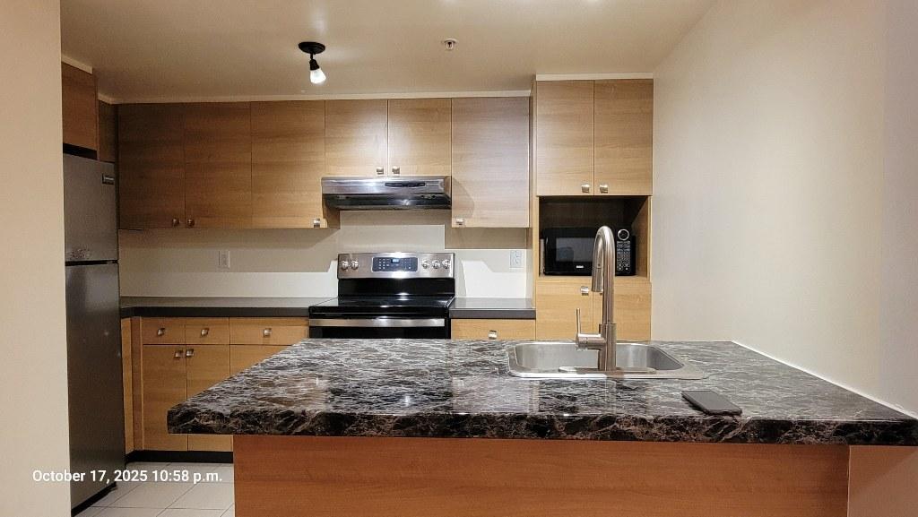 Grand 4 1/2 à louer / Large 4 1/2 for rent | 3140474