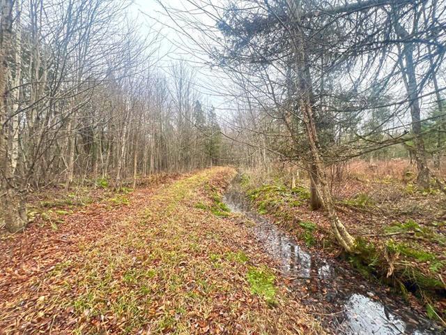 Fortierville (Centre-du-Québec): Terre à bois de 180 acres, chalet, 60 acres cultivables, ruisseau | 3140707