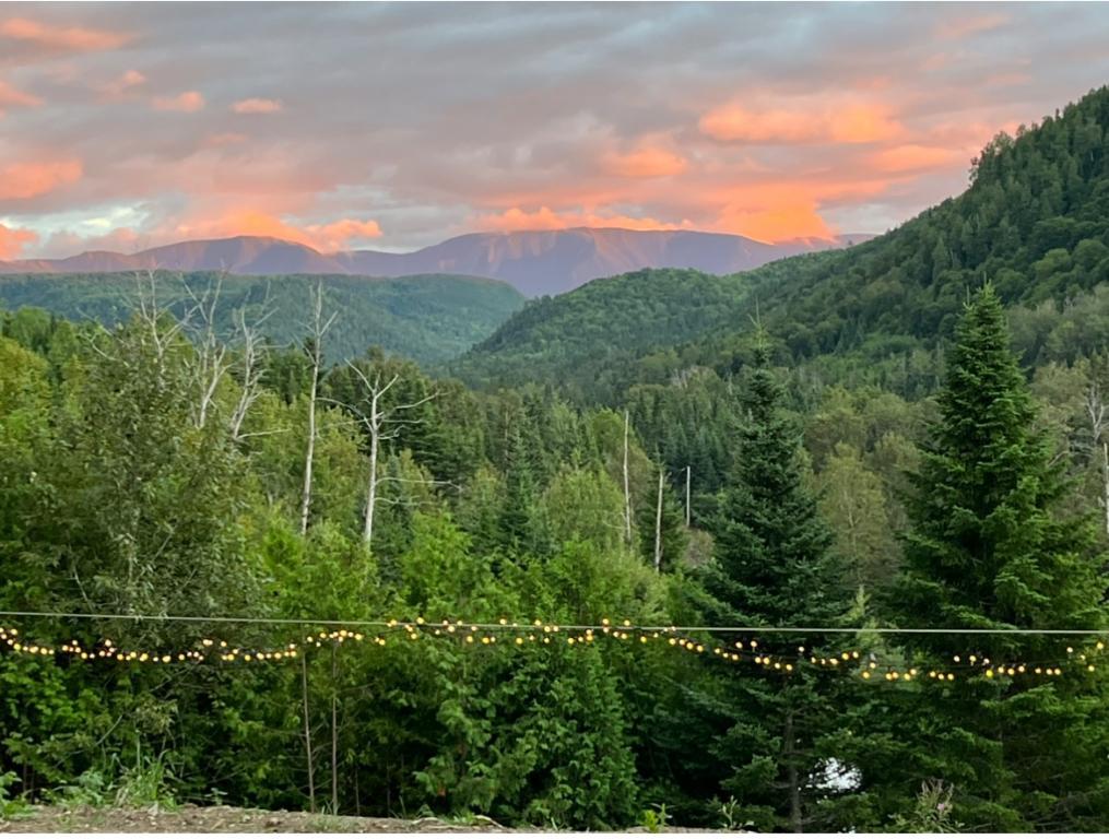 Terrain avec mini chalet | 3140742