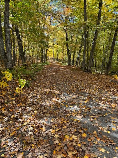 Terrain au bord du l'eau navigable laurentides | 3141003