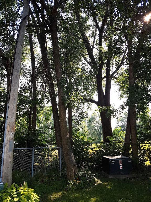 3 1/2 tranquil et spacieux à Saint Lambert | 3145268