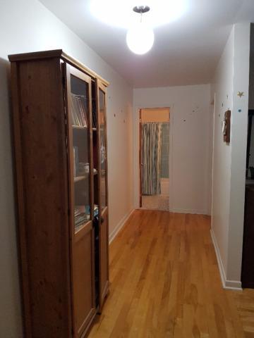 3 1/2 tranquil et spacieux à Saint Lambert | 3145268