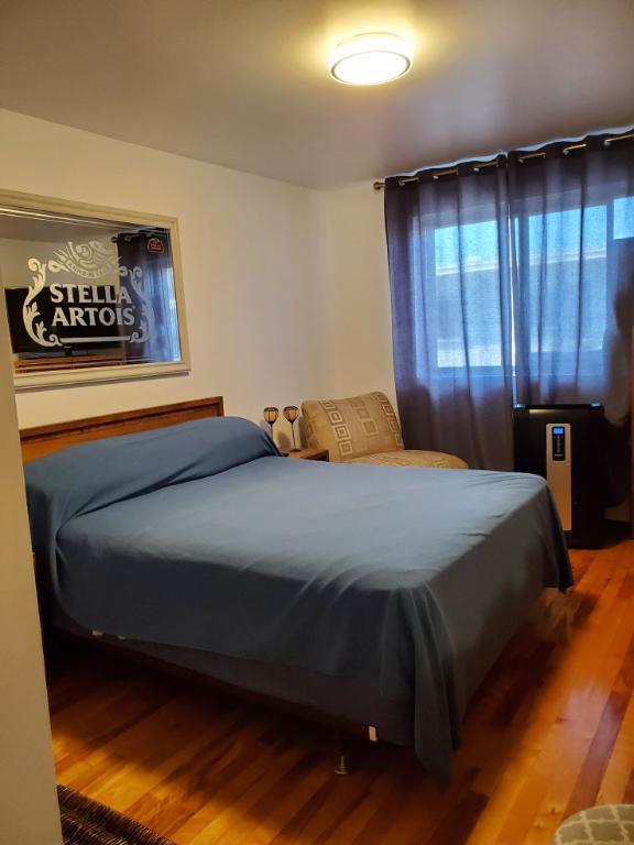 3 1/2 tranquil et spacieux à Saint Lambert | 3145268