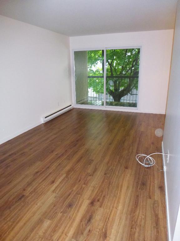 4 1/2 Chauffé/Éclairé, 1er Décembre, Lévis secteur Desjardins, UQAR, CFP | 3147419