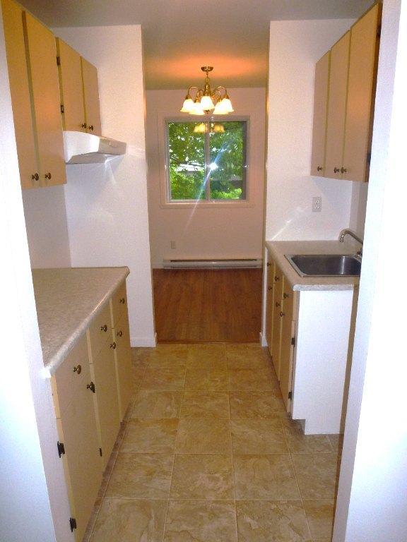 4 1/2 Chauffé/Éclairé, 1er Décembre, Lévis secteur Desjardins, UQAR, CFP | 3147419