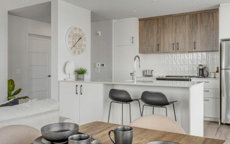 3 1/2 1 chambre à coucher 1 salle de bain | 3147426