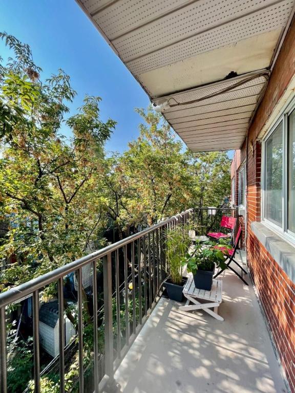 Studio - Montréal - $945 /mo | 3154117