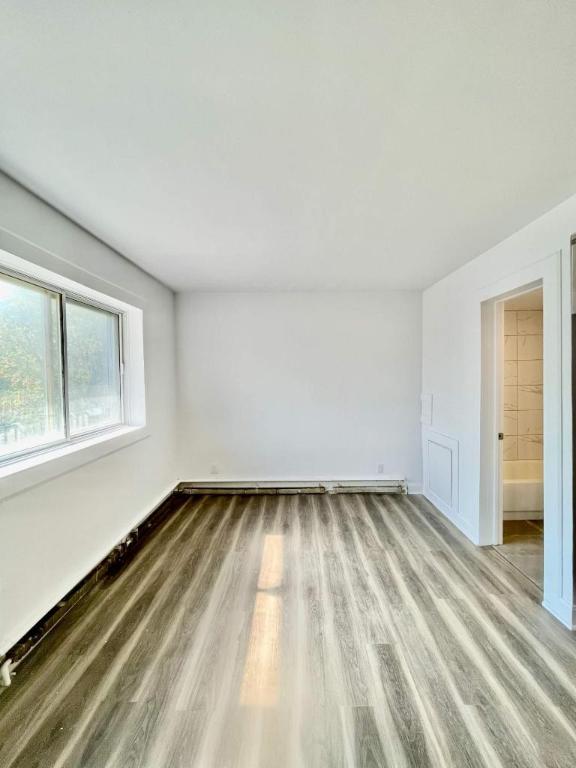 Studio - Montréal - $945 /mo | 3154117