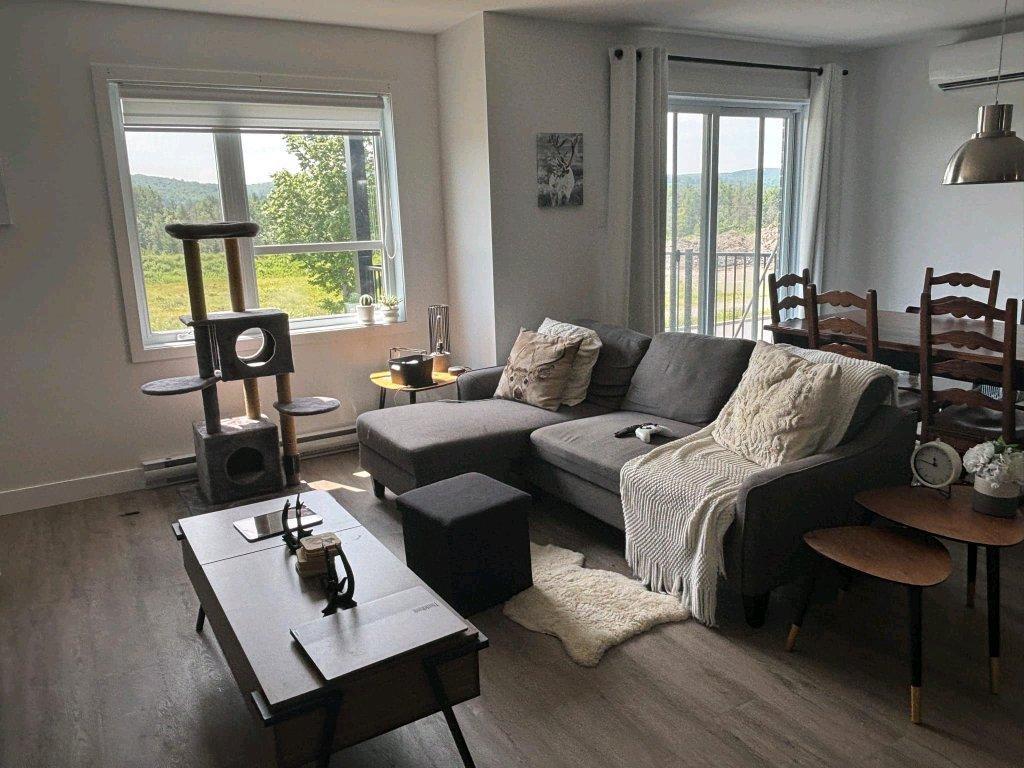 4 et demi a louer decembre | 3149012