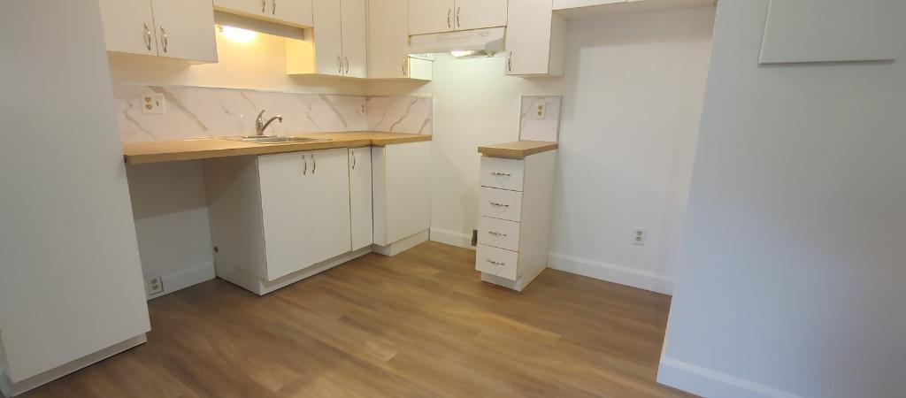 Grand 4½ à St-Romuald | 3153900