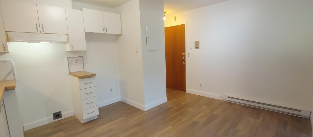 Grand 4½ à St-Romuald | 3153900