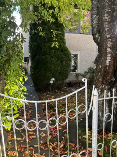 Basement  unit | 3668 Ontario Street, Vancouver | 3153041