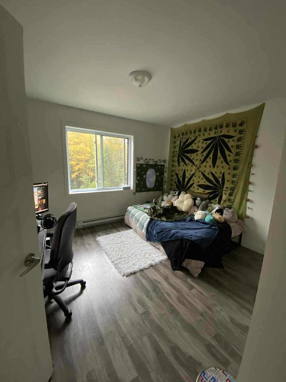 5 1/2 à louer, 1550$, Sainte-marguerite -du-lac-masson | 3151073