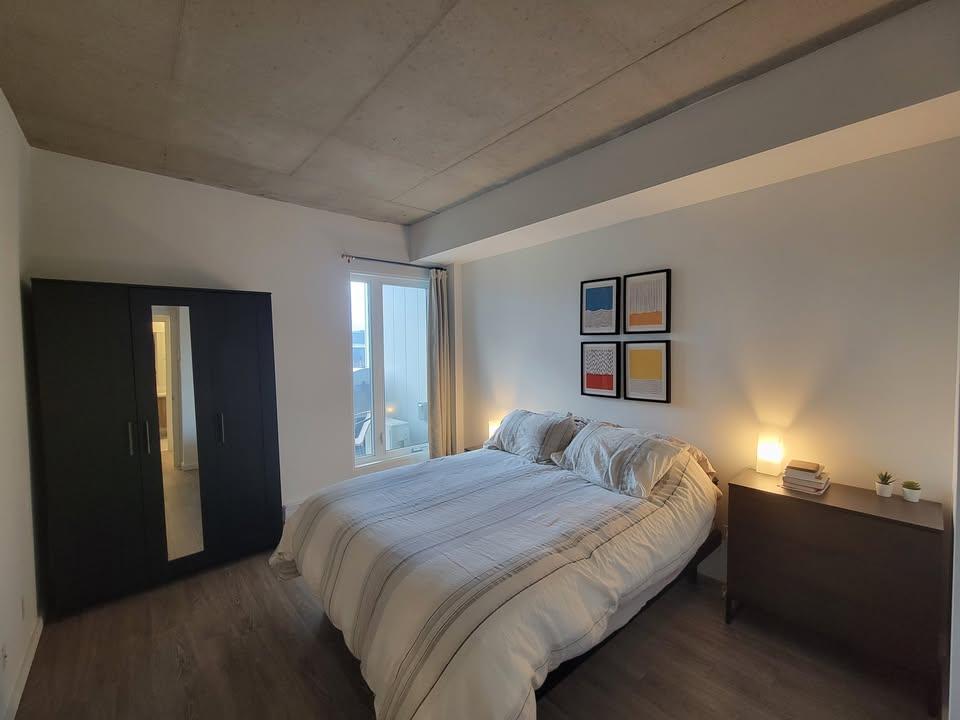 Grand 3-1/2+ (bureau + salle de lavage) - 2 MOIS GRATUITS | 3151079