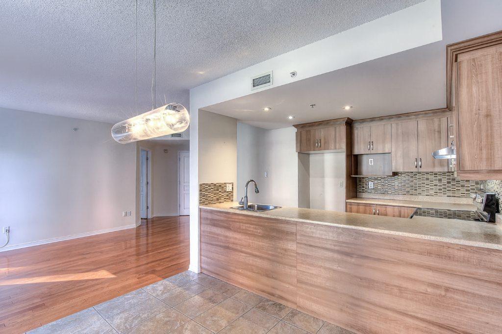 Superbe Condo 2 Chambres + Garage à Chomedey | 3151365