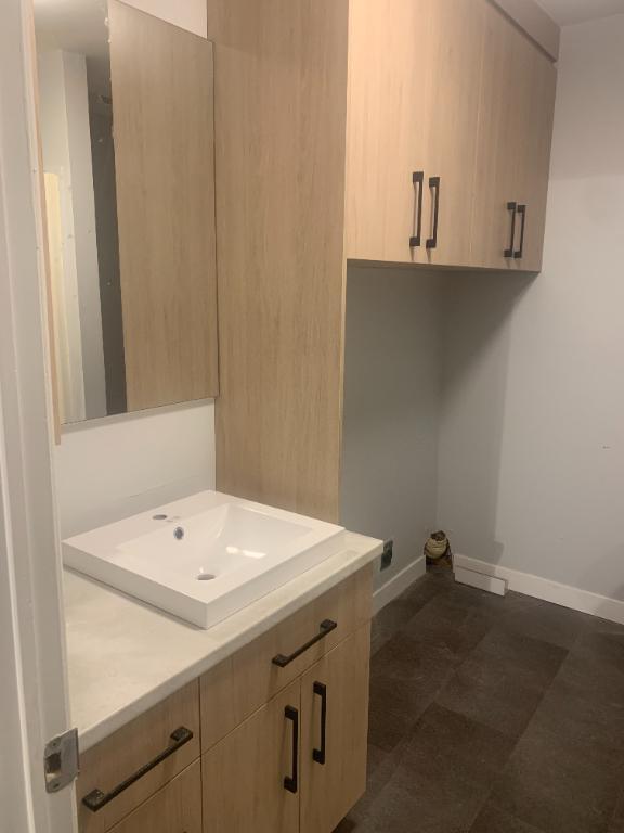 4.5 centre-ville Victoriaville | 3152108