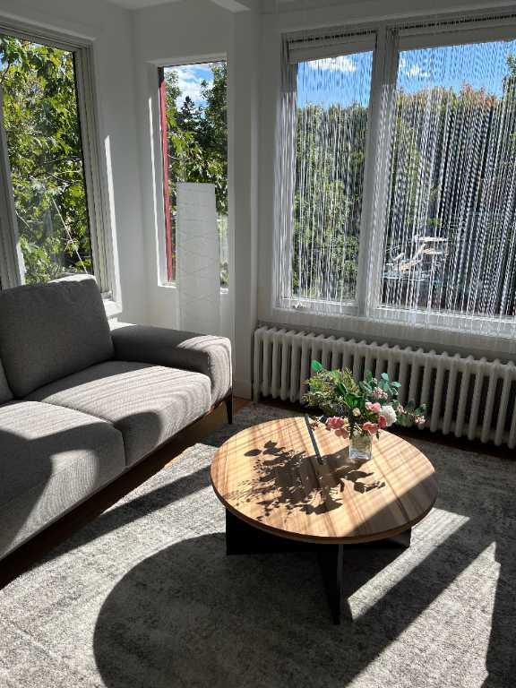 4 1/2 d'exception. Chauffé, meublé, accessoirisé. Libre. $2195 | 3152136