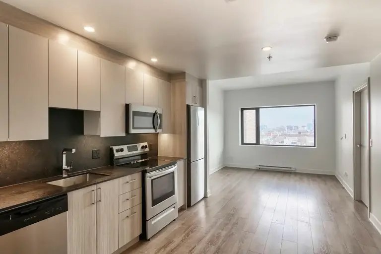 30 Saint Joseph Boulevard Est | 30 Saint-Joseph Est, Montreal | 3157322