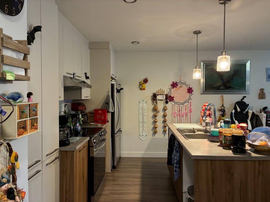 A louer 1re décembre 3 1/2 a Magog | 3153171