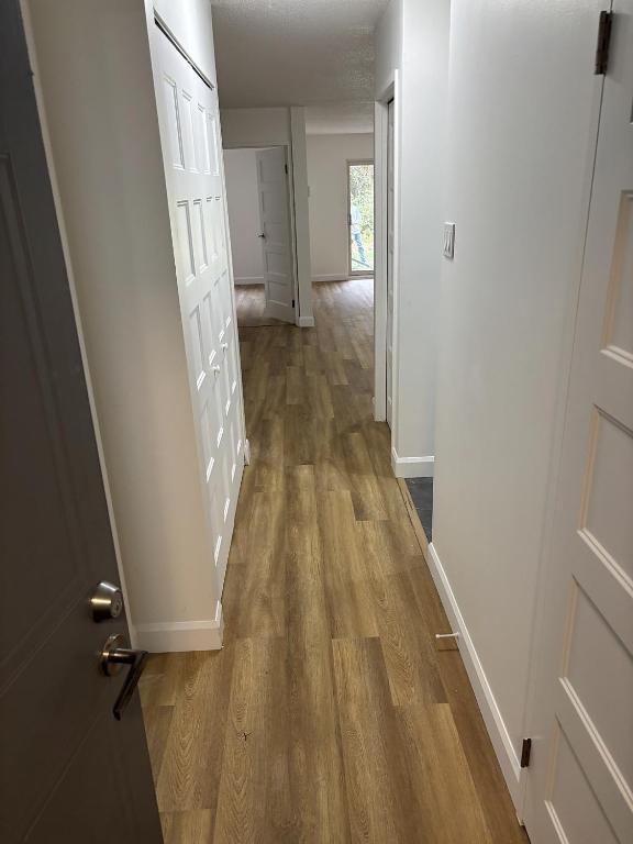 4 1/2 à louer rénové - Granby | 3153176