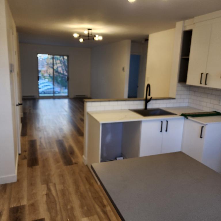 4 1/2 entièrement rénové - Cession bail 15 novembre | 3153207