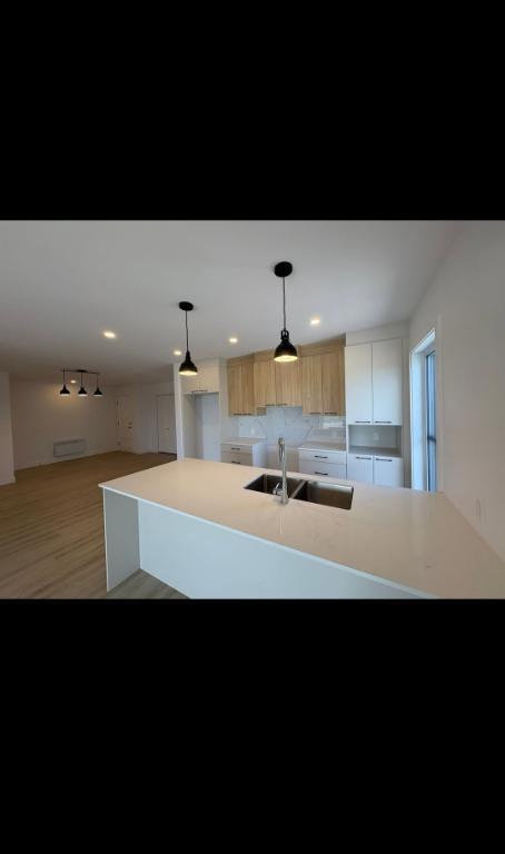 Grand 5 1/2 à louer- Saint-Dominique | 3153519