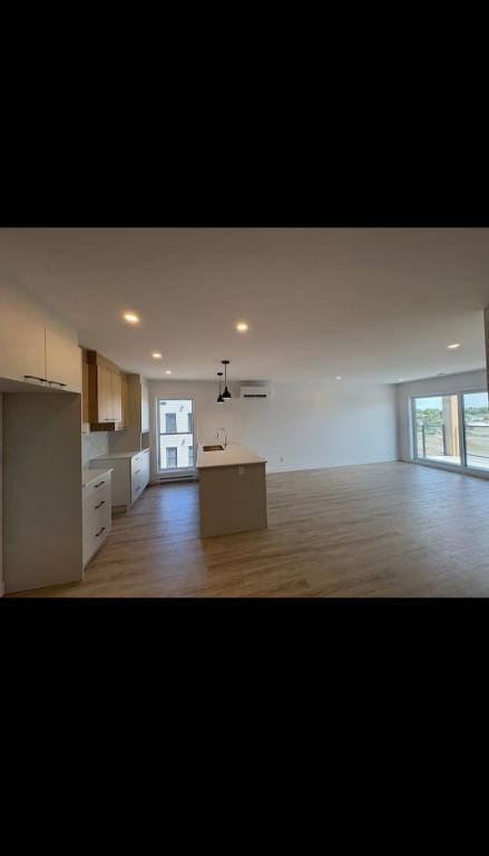 Grand 5 1/2 à louer- Saint-Dominique | 3153519