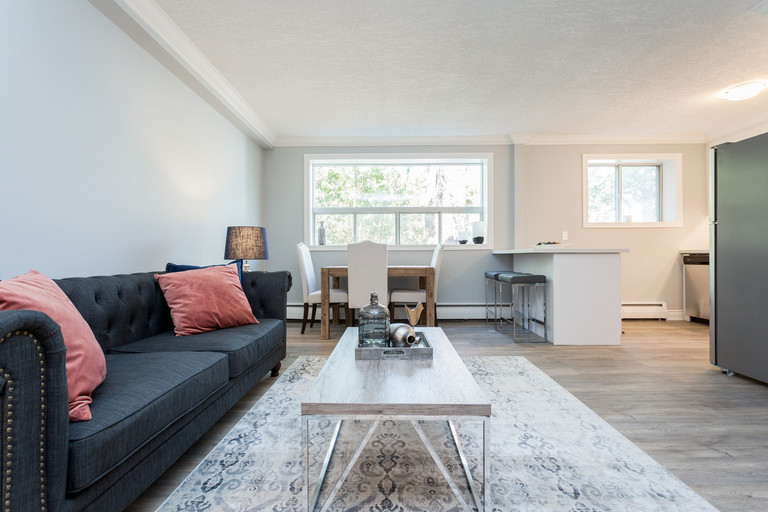 89 York Road | 89 York Road, Hamilton | 3153641