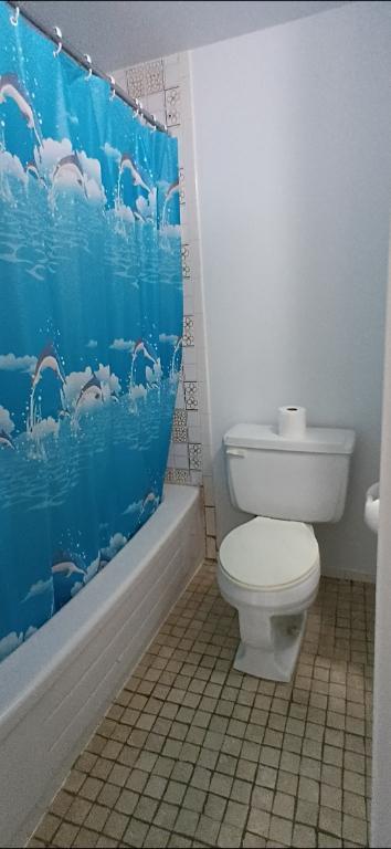 A Valleyfield - Jolie, propre et grande 3-1/2, LIBRE | 3155148