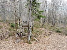 Terre avec chalet a vendre a Port Daniel Gascon | 3154372