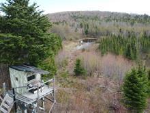 Terre avec chalet a vendre a Port Daniel Gascon | 3154372