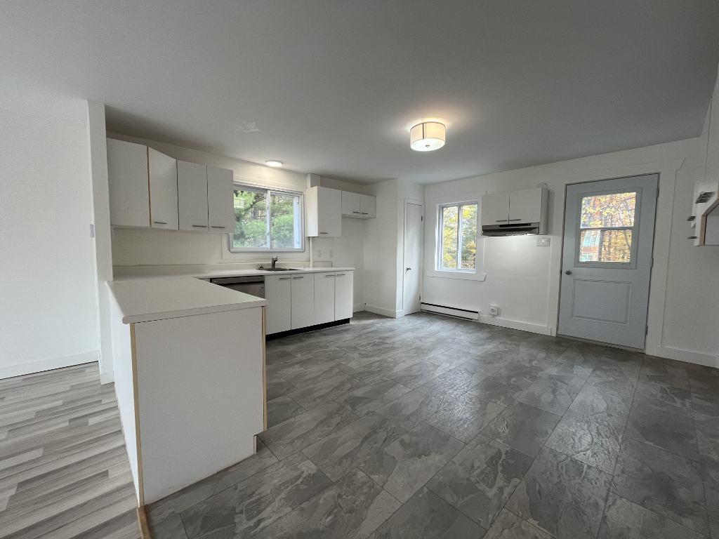 Beau grand 4 et demi lumineux et tranquille | 3154552