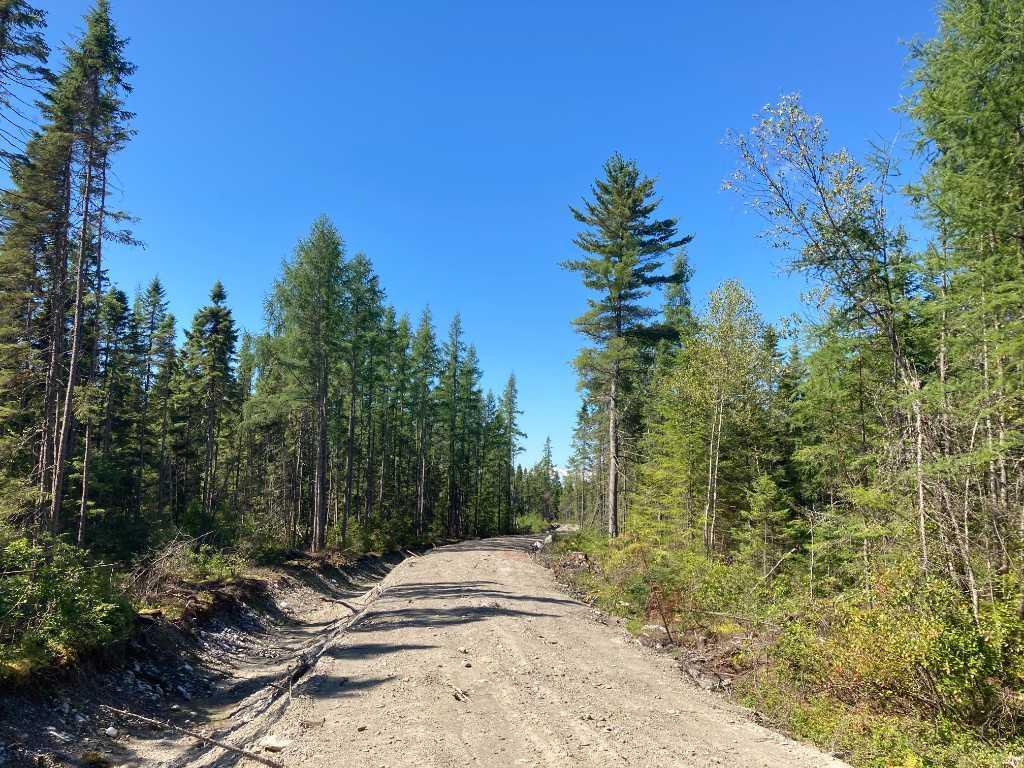 Terre à bois de 123 acres | 3154779